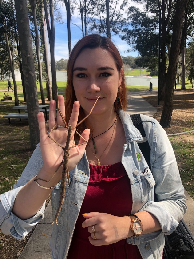 70664182_10212432900576411_8417152807915749376_o